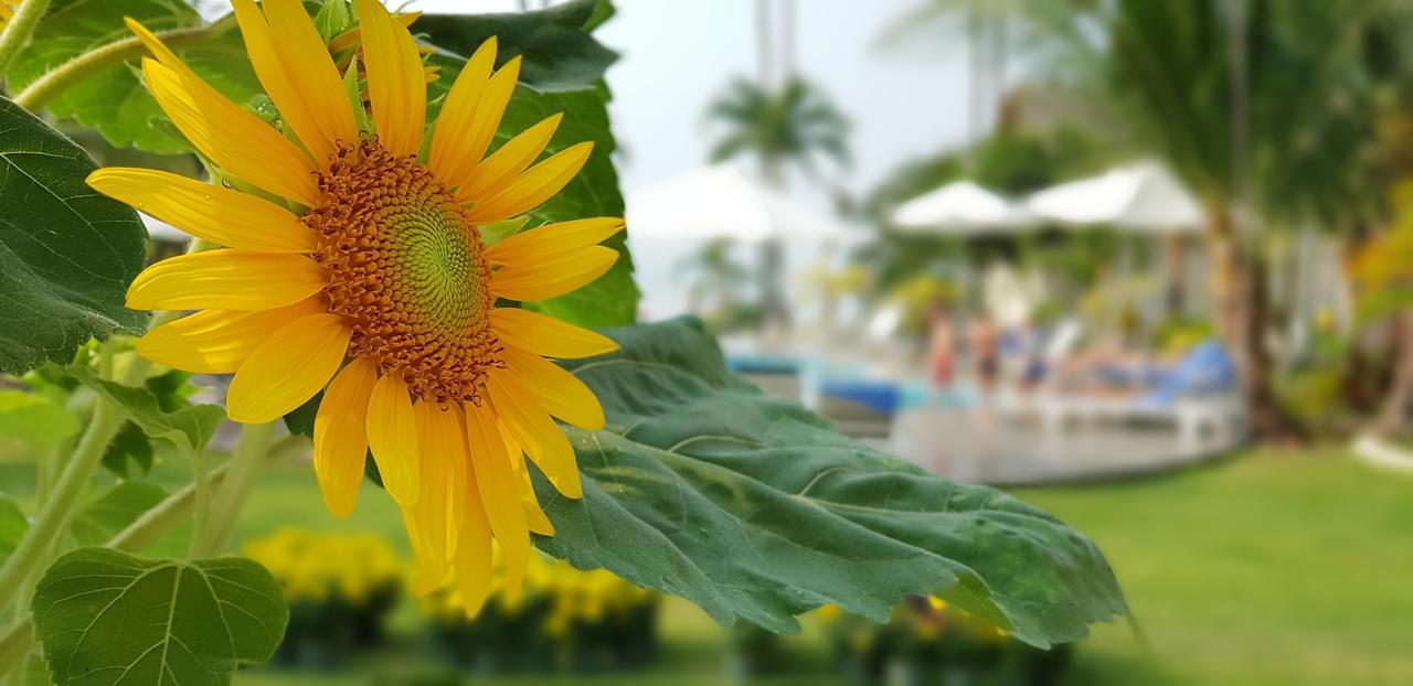 Sun & Sands Beach Hotel Mui Ne Exterior foto